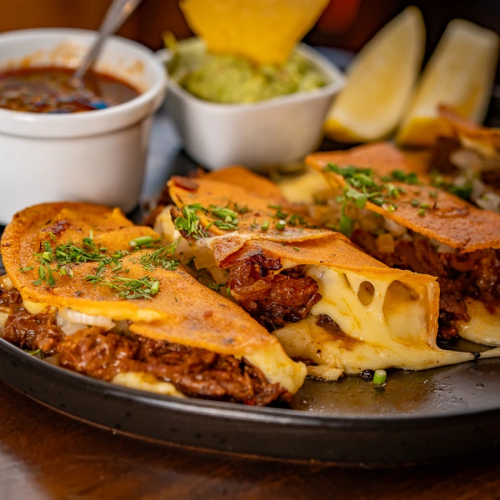 Quesabirrias El Rey del Burrito